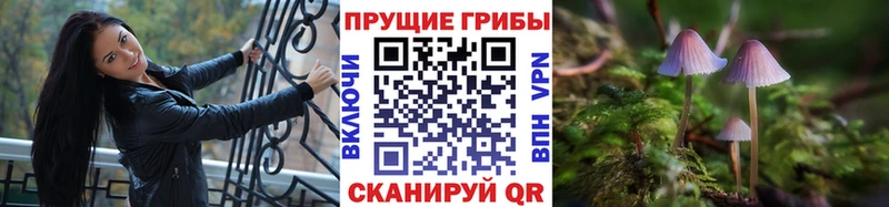 Галлюциногенные грибы Psilocybine cubensis  нарко площадка наркотические препараты  Сурск 